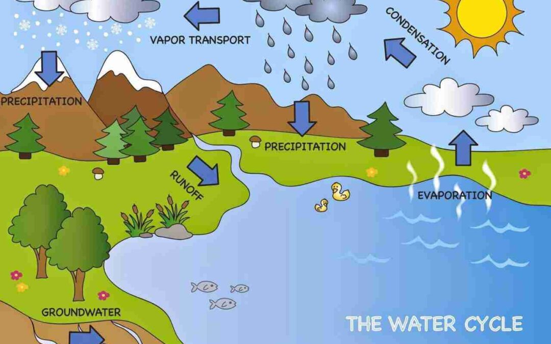 Proses dalam Siklus Air Lengkap beserta Penjelasannya